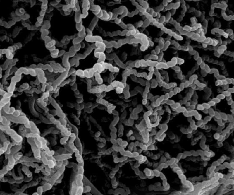 硅烷偶联剂和碳纳米管，提升材料性能的高效复合材料